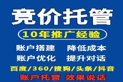 行业领先企业的SEM运营策略案例解析